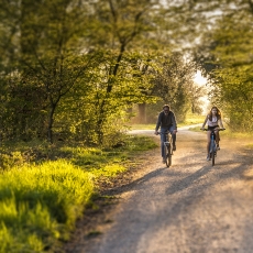 ErholungundFreizeit_Fahrrad_Istock_Banner