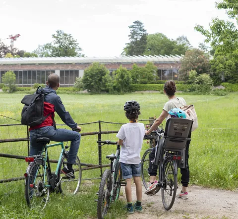 Familie_Fondation_Velofahren1_MartinGraf