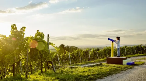 Sehenswuerdigkeiten_Rehberger_Banner