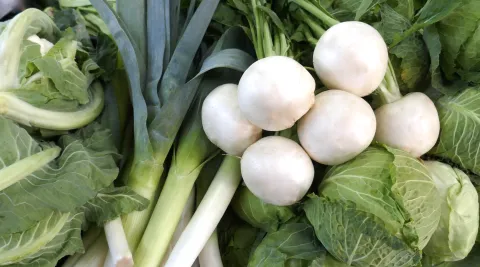 Veranstaltungen_maerkte_Banner